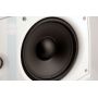 Настенная акустика CVGAUDIO ODF608TW